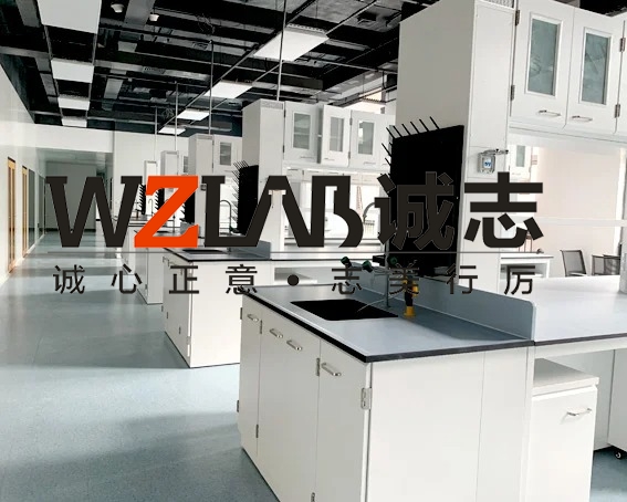 農(nóng)藥廠房實(shí)驗(yàn)室整體建設(shè)