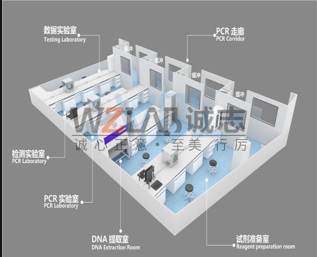PCR實驗室設(shè)計的7大注意事項